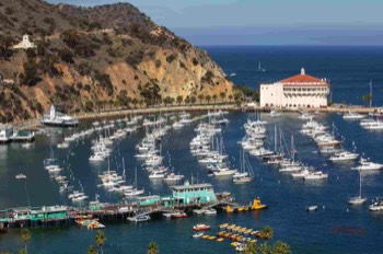  Thursday Attendees wake up to THIS … Friday Morning Already Here … ready to explore the town, the Island,  before the Ballroom Lights come on in the Casino Upper Right Friday Night at 7 pm Historic Chimes Tower Upper Left and usually keeps good time there days.  Built around 1930. Tuna Club and Yacht Club on Left. Green Pier with Eric’s and Fish and Chips at bottom  