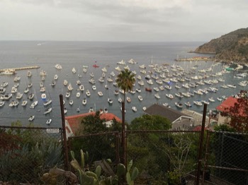  Avalon’s Floating Hotel Rooms .. otherwise called “Yachts “ 