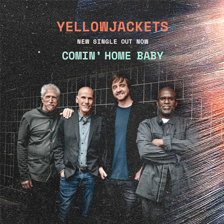 YellowJackets